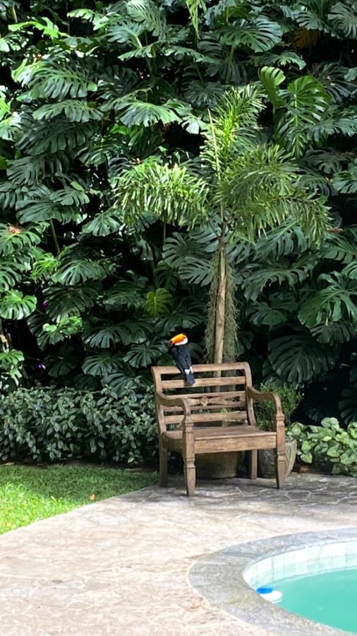 مبيت وإفطار Petrópolis Exclusive Oasis By Lotta De Macedo Soares المظهر الخارجي الصورة